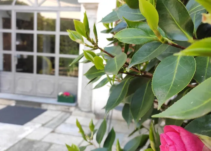 Casa アパートホテル